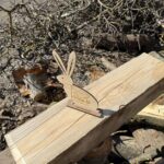 Zając wielkanocny, Sklasjka sosna oraz lity orzech